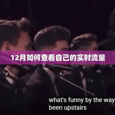 12月实时流量查询攻略