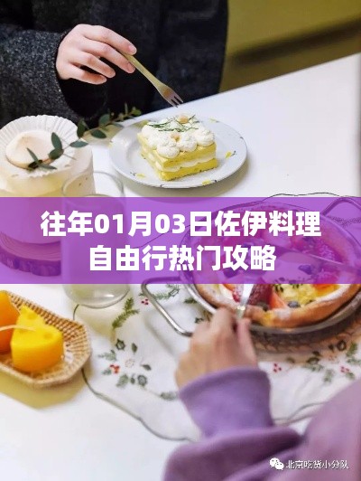 佐伊料理自由行,热门攻略揭秘