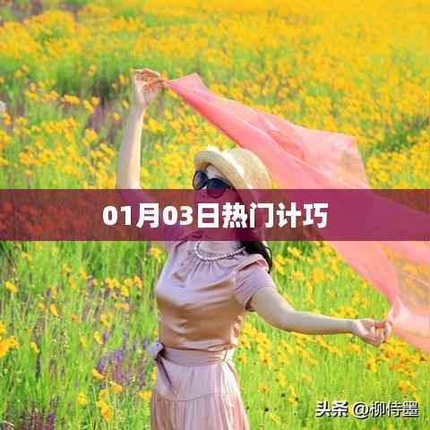 热门计巧,最新实用技巧一网打尽(日期,01月03日)