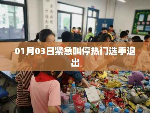 热门选手紧急退出事件,一月三日紧急叫停行动揭秘