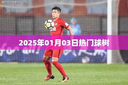 夯雀儿先飞 第3页