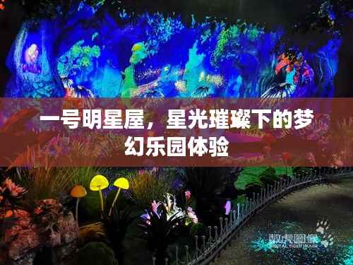 一号明星屋,星光璀璨下的梦幻乐园体验
