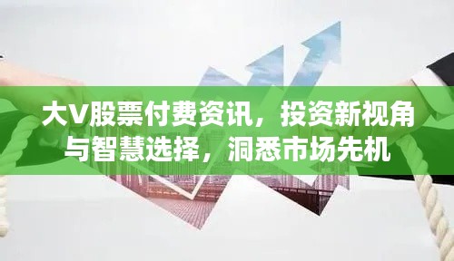 大V股票付费资讯,投资新视角与智慧选择,洞悉市场先机