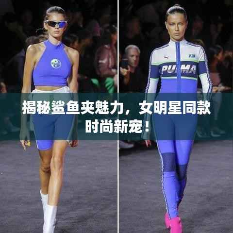 揭秘鲨鱼夹魅力,女明星同款时尚新宠!