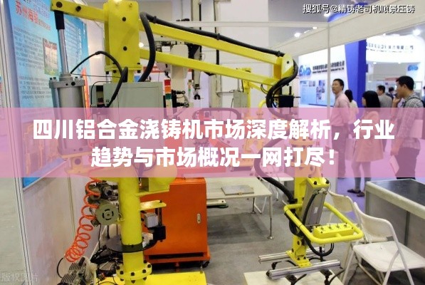 四川铝合金浇铸机市场深度解析,行业趋势与市场概况一网打尽!