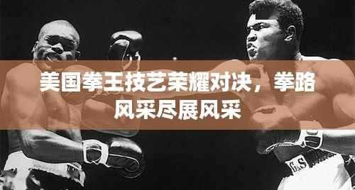 美国拳王技艺荣耀对决,拳路风采尽展风采
