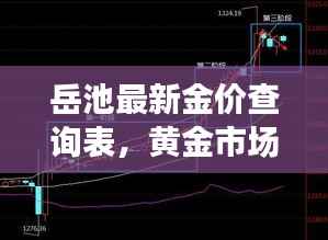 岳池最新金价查询表,黄金市场动态与趋势深度解析
