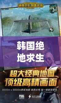 韩国绝地求生激战,荣耀战场,激情燃烧时刻!