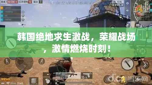韩国绝地求生激战,荣耀战场,激情燃烧时刻!