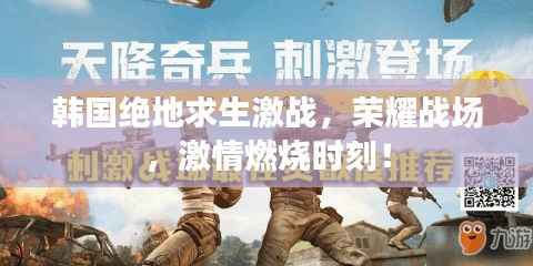 韩国绝地求生激战,荣耀战场,激情燃烧时刻!