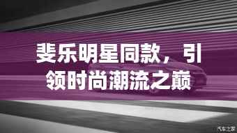 斐乐明星同款,引领时尚潮流之巅