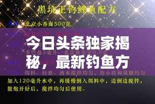 今日头条独家揭秘,最新钓鱼方法与技巧策略分享