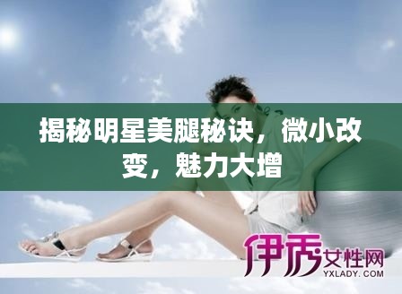 揭秘明星美腿秘诀,微小改变,魅力大增