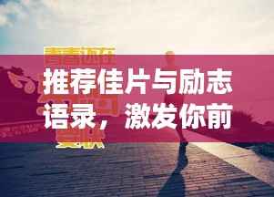 推荐佳片与励志语录,激发你前行的动力!