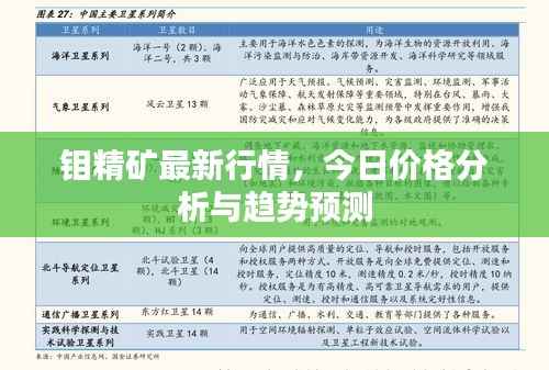 钼精矿最新行情,今日价格分析与趋势预测
