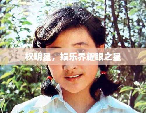 权明星,娱乐界耀眼之星