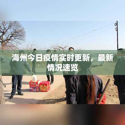 海州今日疫情实时更新,最新情况速览
