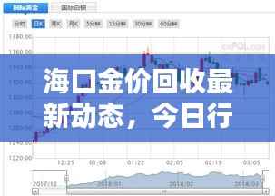 海口金价回收最新动态，今日行情抢先看