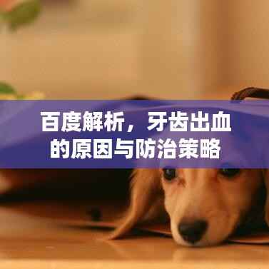百度解析,牙齿出血的原因与防治策略
