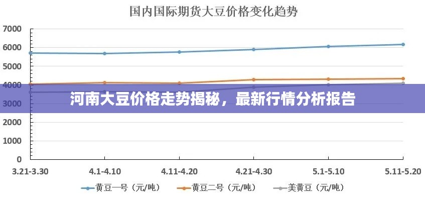 河南大豆价格走势揭秘,最新行情分析报告