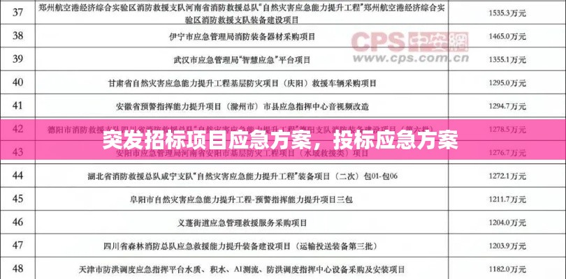 突发招标项目应急方案,投标应急方案