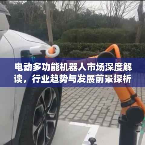 电动多功能机器人市场深度解读,行业趋势与发展前景探析