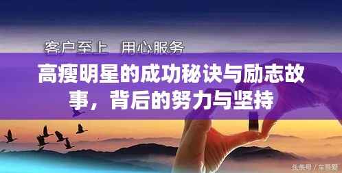 高瘦明星的成功秘诀与励志故事,背后的努力与坚持