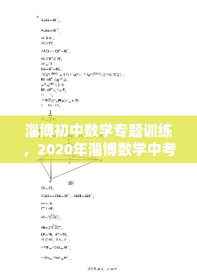 淄博初中数学专题训练,2020年淄博数学中考题及答案