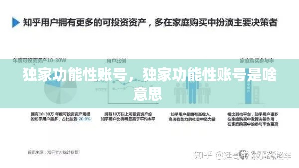 独家功能性账号,独家功能性账号是啥意思
