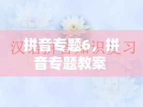 拼音专题6,拼音专题教案