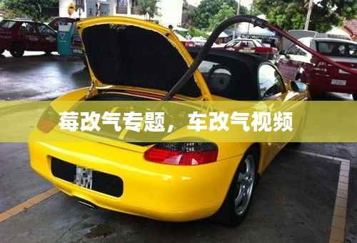 莓改气专题,车改气视频