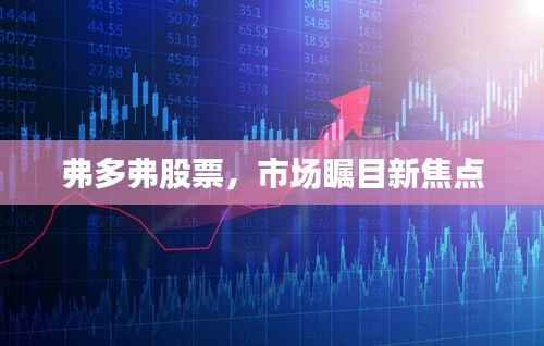 弗多弗股票,市场瞩目新焦点