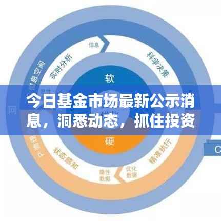 今日基金市场最新公示消息,洞悉动态,抓住投资机遇!