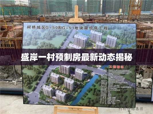 盛岸一村预制房最新动态揭秘