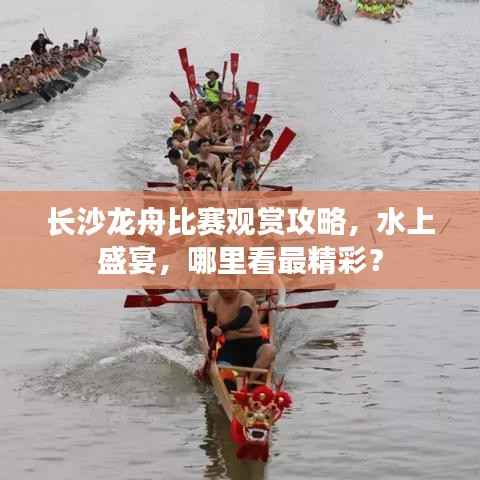 长沙龙舟比赛观赏攻略,水上盛宴,哪里看最精彩?